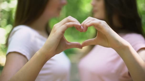 Twee Lesbiennes Maken Hart Met Handen Liefdevol Kussen Liefde Vrijheid — Stockvideo