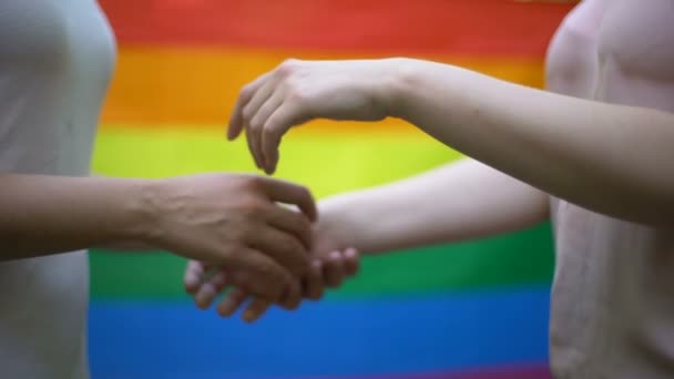 Lesbisk Par Håller Händerna Tillsammans Regnbågsflaggan Bakgrund Minoriteters Rättigheter — Stockvideo