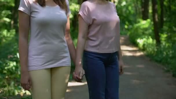 レズビアンのカップル 森の中を一緒に散歩と自然との関係を隠して統一 — ストック動画