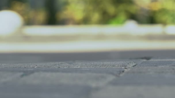 Leere Plastikflasche Aus Autofenster Auf Gehweg Geworfen Umweltverschmutzung — Stockvideo