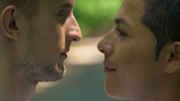 Atractivo Gay Pareja Besándose Tiernamente Bosque Libertad Amor Elección Lento — Vídeo de stock