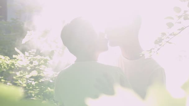 Twee Mannen Zoenen Onder Bomen Verlicht Door Zonnestralen Ware Liefde — Stockvideo