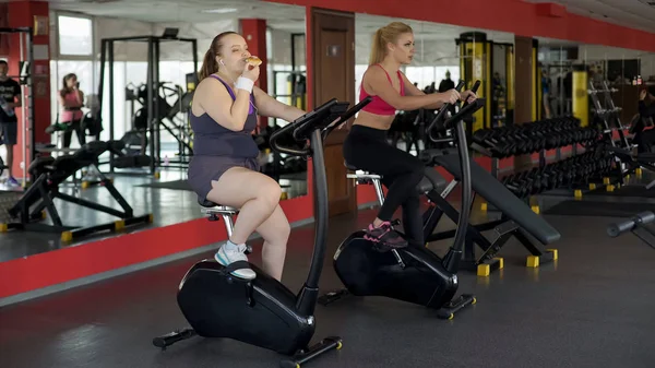 Bun Binicilik Sabit Bisiklet Içinde Jimnastik Salonu Fitness Yemek Tembel — Stok fotoğraf