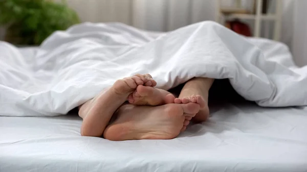 Милая Пара Трогающая Друг Друга Ногами Влюблённые Одеялом — стоковое фото