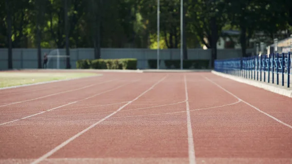 Stadium Professional Runners Training Complex Sport Fitness Outdoors — Stock Photo, Image