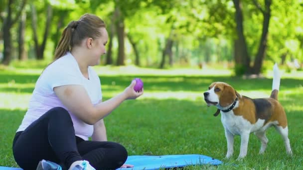 Wanita Muda Cantik Duduk Taman Halaman Dan Bermain Dengan Anjing — Stok Video