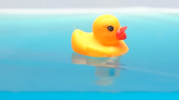 子供の水 快適入浴 シャンプー ローションに浮かぶおもちゃのアヒル — ストック動画