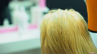 Profesyonel stilist kurutma müşteri saç salonu, güzellik uzmanı iş, spa sakin ol