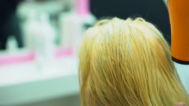 专业造型师在沙龙中烘干客户的头发 美容师工作 水疗放松 — 图库视频影像