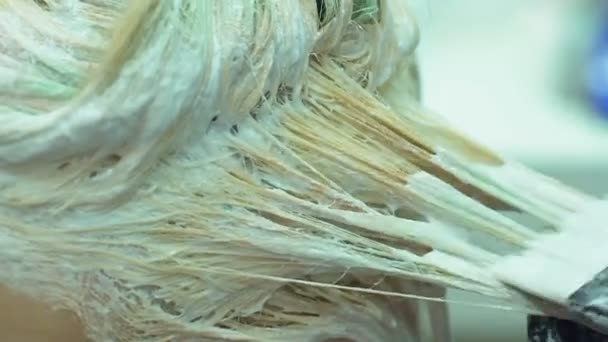 Досвідчений Перукар Фарбування Жіночого Волосся Фарбування Сервіс Салону Краси — стокове відео