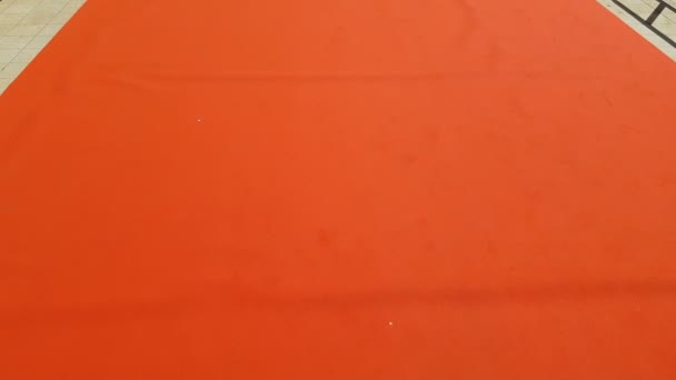 Канны Франция Circa May 2018 Каннский Кинофестиваль Красная Дорожка Лестнице — стоковое видео