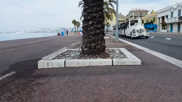 Nice Francia Circa Mayo 2018 Turismo Ciudad Palmera Alta Playa — Vídeo de stock