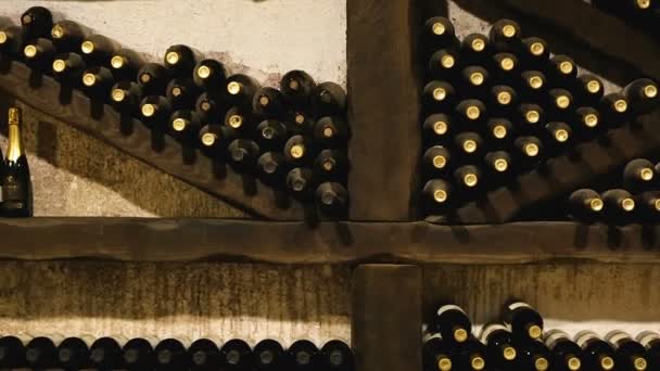 Many Wine Bottles Stacked Cellar Private Collection Old Rare Varieties — Stock Video