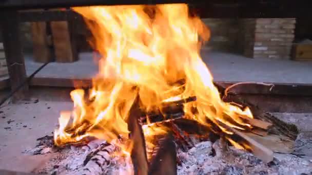 Bonfire Gården Härd Och Hem Camping Brandsäkerhet Utomhus Sekvens — Stockvideo