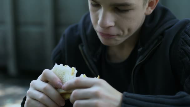 饥饿的青少年男孩吃廉价不健康的三明治 低质量的儿童餐 — 图库视频影像