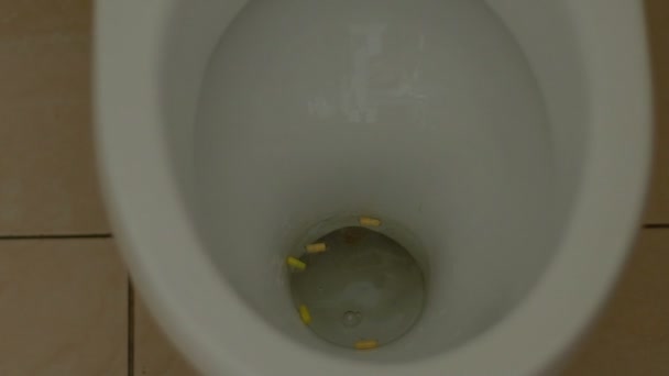 Dealer Wäscht Pillen Auf Toilette Illegaler Drogenbesitz Medikamentenverweigerung — Stockvideo