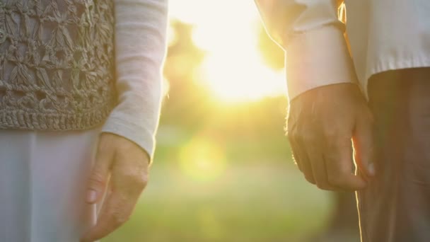 退休男子持有妇女手 浪漫的日期在公园 祖父母爱 — 图库视频影像