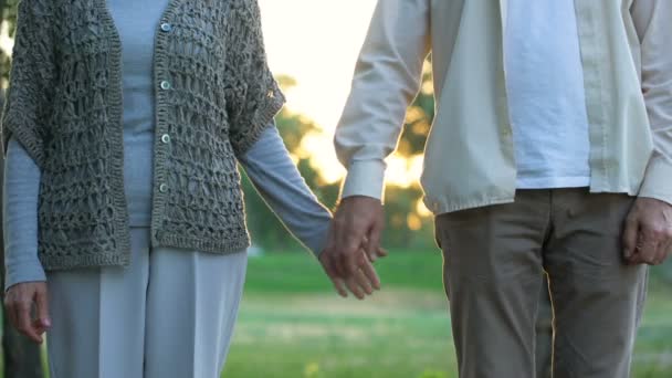 Velho Casal Amoroso Mãos Dadas Caminhando Parque União Cuidado — Vídeo de Stock