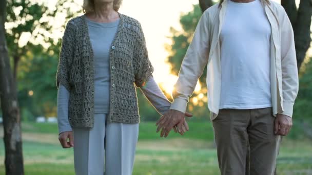 Senior Mann Und Frau Halten Händchen Und Genießen Date Park — Stockvideo