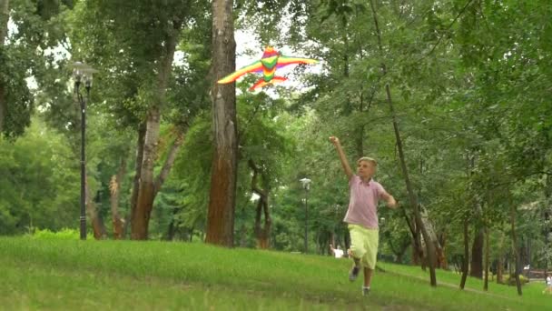 Little Boy Flying Kite Park Happy Childhood Freedom Inspiration Slow — Stock Video