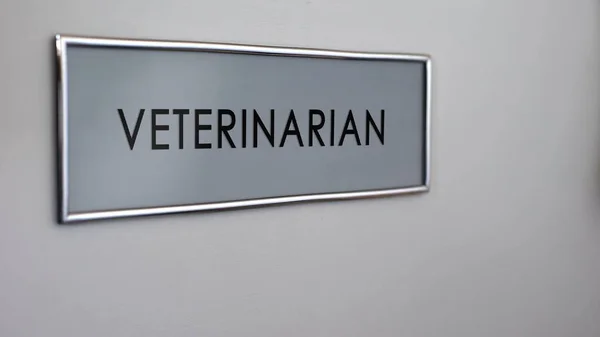 Дверь Ветеринарной Комнаты Посещение Врача Животного Осмотра Уход Животными — стоковое фото