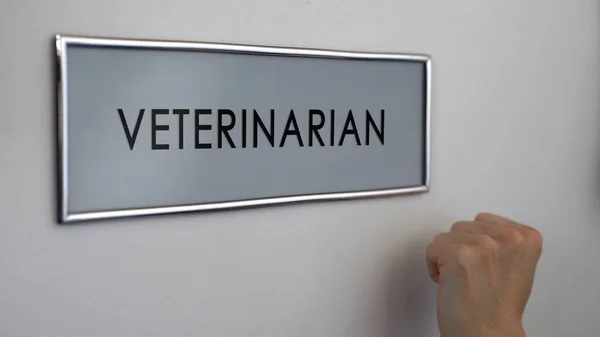Veterinarian Room Door Hand Knocking Closeup Pets Healthcare Animal Doctor — Stock Photo, Image
