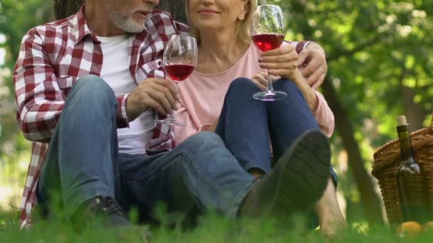Yaşlı Çift Park Şarap Içme Emeklilik Yaşı Seyahat Gelecekte Güvenli — Stok video