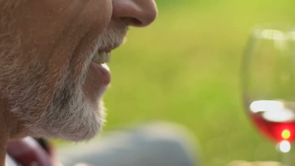 Primer Plano Feliz Pareja Ancianos Bebiendo Vino Aire Libre Conversación — Vídeos de Stock