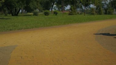 Yaşlı kadın ve erkek çalışan park, sağlıklı yaşam, fitness ağır çekim