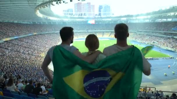 Aficionados Fútbol Con Bandera Brasileña Saltando Estadio Animando Selección Nacional — Vídeo de stock