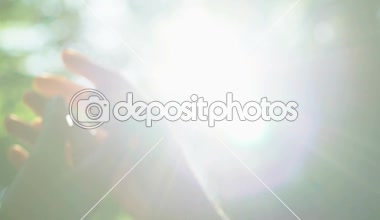 Lezbiyen çift yavaşça okşayarak eller güneş ışığı, azınlık hakları, yakın çekim