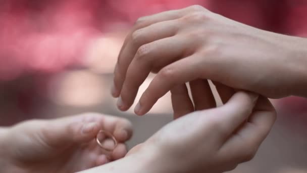 Лесбиянки Носят Кольца Церемонии Свадьба Однополых Партнеров Крупный План — стоковое видео