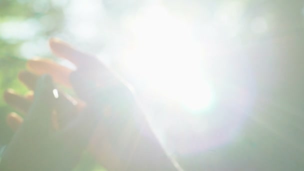 Lesbian Couple Gently Stroking Hands Sunlight Minority Rights Close — Stock Video