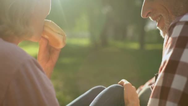 Pensionati Sesso Femminile Maschile Mangiare Hamburger Picnic Appuntamento Romantico Primo — Video Stock