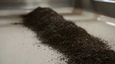 İşleme kuru siyah çay yaprakları, geleneksel içecek, ürün vermek