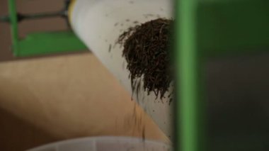 Çay üretim aile şirketi, kuru yapraklar işleme tesisi ihracat için ürünler