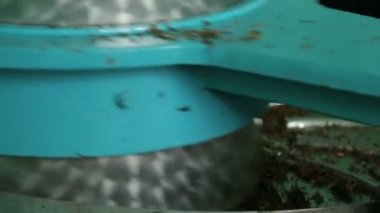 Çay töreni café, gelenekleri servis aromatik bitkisel içecek arkadaş,
