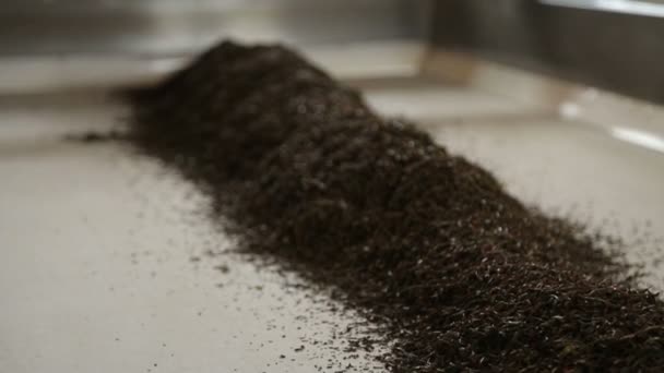 Επεξεργασία Του Ξηρού Μαύρο Τσάι Φύλλα Παραδοσιακών Ποτών Προϊόντων Για — Αρχείο Βίντεο