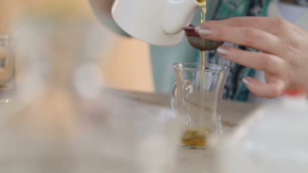 Büyüyen Hasat Deneyim Paylaşımı Çay Plantasyon Deneyimli Sahibi — Stok video