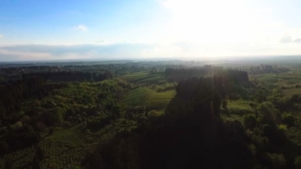 Amazing Landscape Lush Greens Reach Out Many Kilometers Bird Eye — Stock Video