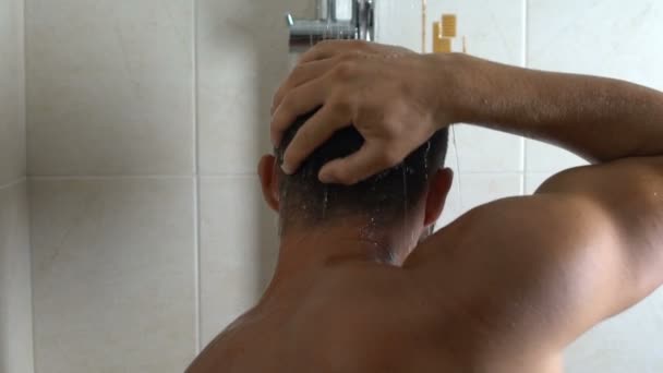 Achteraanzicht Van Mens Grondig Wassen Van Vet Haar Lijden Aan — Stockvideo