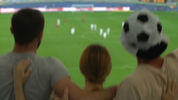 足球迷在体育场总冠军决赛中跳着看国家队 — 图库视频影像