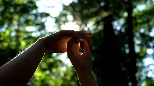 Homo Paar Bedrijf Handen Zonlicht Recht Hetzelfde Geslacht Liefde Lgbt — Stockfoto