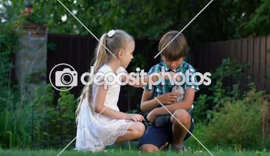 Küçük kardeşler ile oynarken evsiz kedi yavrusu, bakım ve sevgi için hayvan bulundu