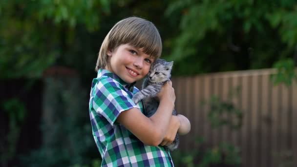 小さな子猫があり 子供のための最高の贈り物 動物への優しい愛情を抱いて幸せな少年 — ストック動画