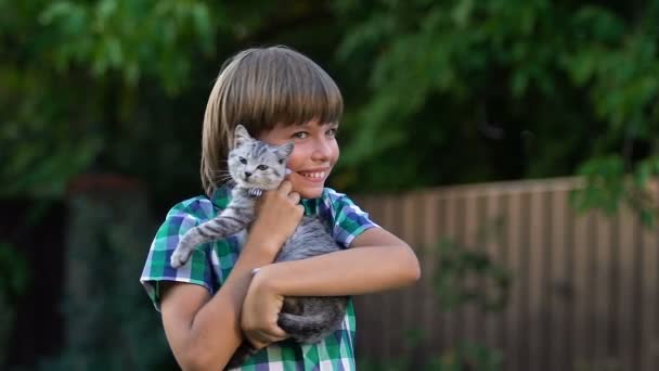 Ragazzino Sorridente Posa Con Piccolo Gattino Carino Programmi Adozione Famiglia — Video Stock