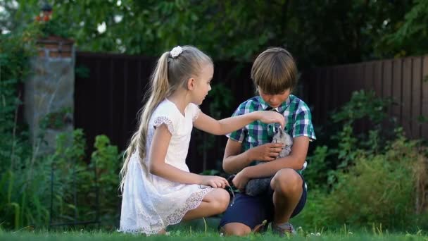 Küçük Kardeşler Ile Oynarken Evsiz Kedi Yavrusu Bakım Sevgi Için — Stok video