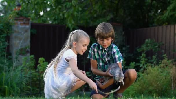 Leuke Kinderen Spelen Met Kleine Kitten Outdoors Beste Momenten Van — Stockvideo