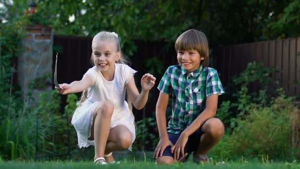Pequenas Crianças Felizes Correndo Atrás Gatinho Torno Gramado Crianças Jogos — Vídeo de Stock