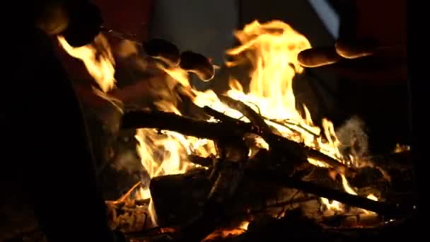 Persone Che Cucinano Salsicce Sul Fuoco Del Campo Nella Foresta — Video Stock